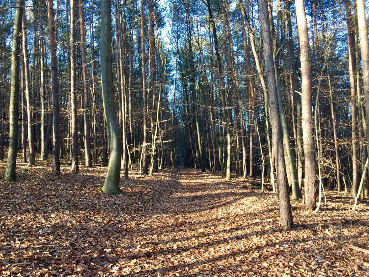 Waldfruhstuckspension Familie Toth Oberschützen Zewnętrze zdjęcie