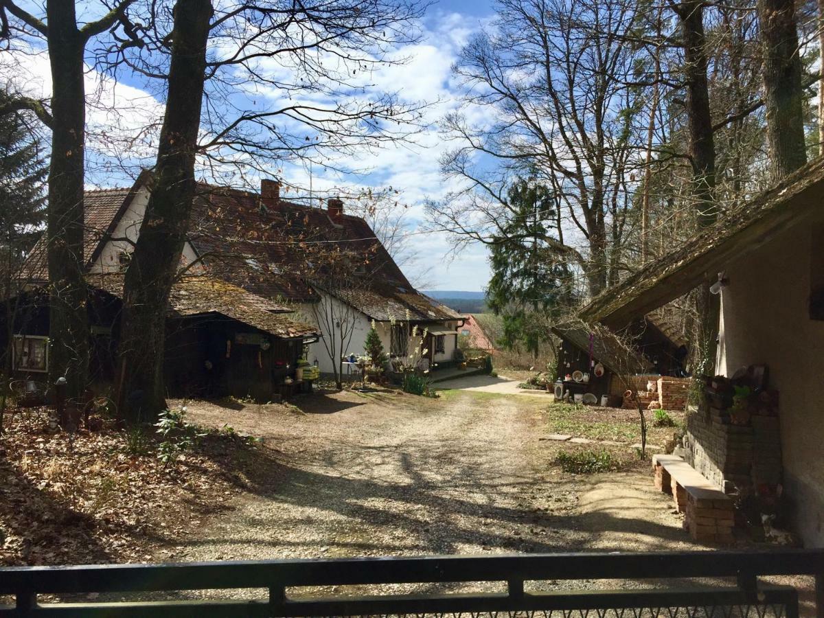 Waldfruhstuckspension Familie Toth Oberschützen Zewnętrze zdjęcie